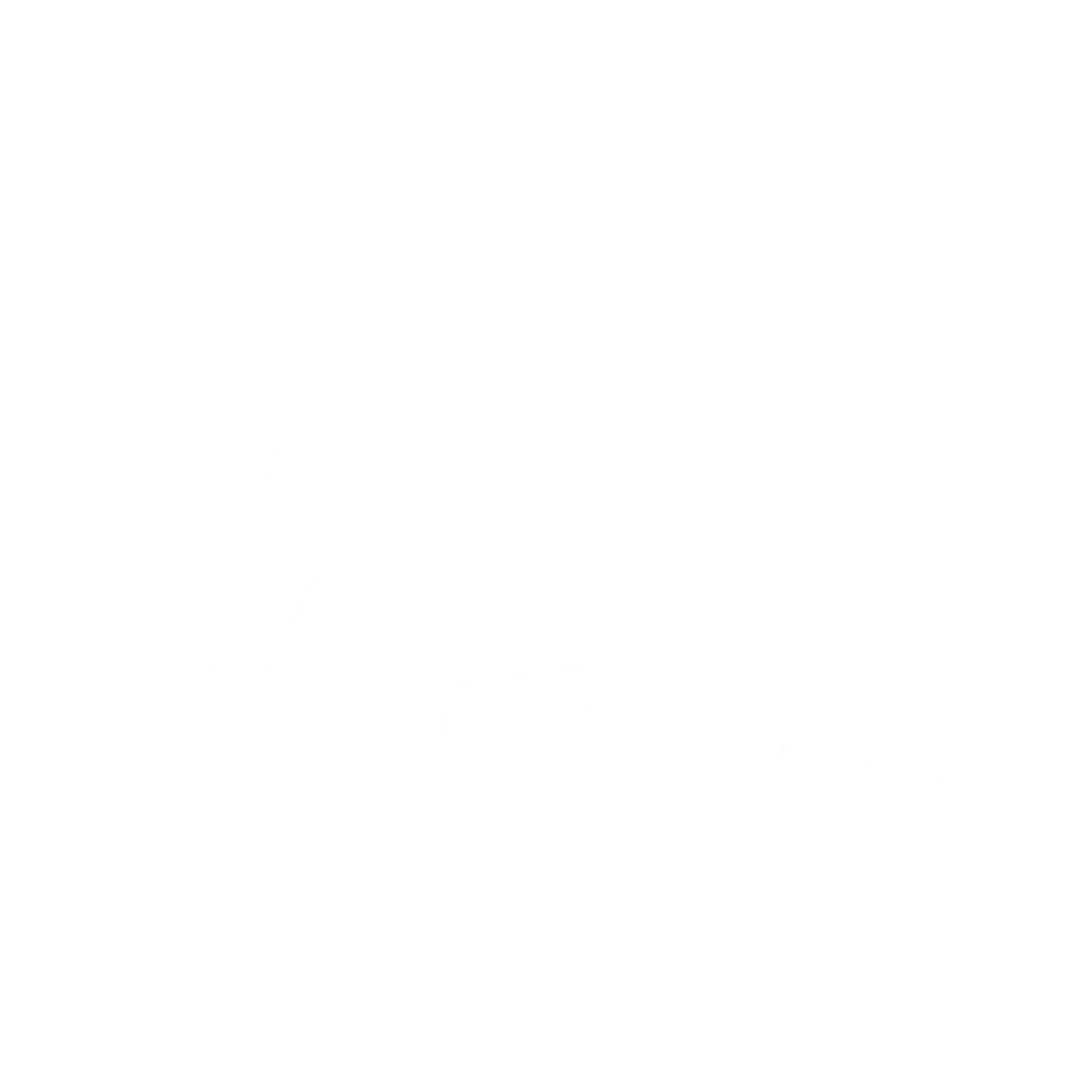 Foot & Ankle